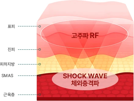 피부 표층